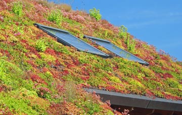 Friars Gate living roof systems